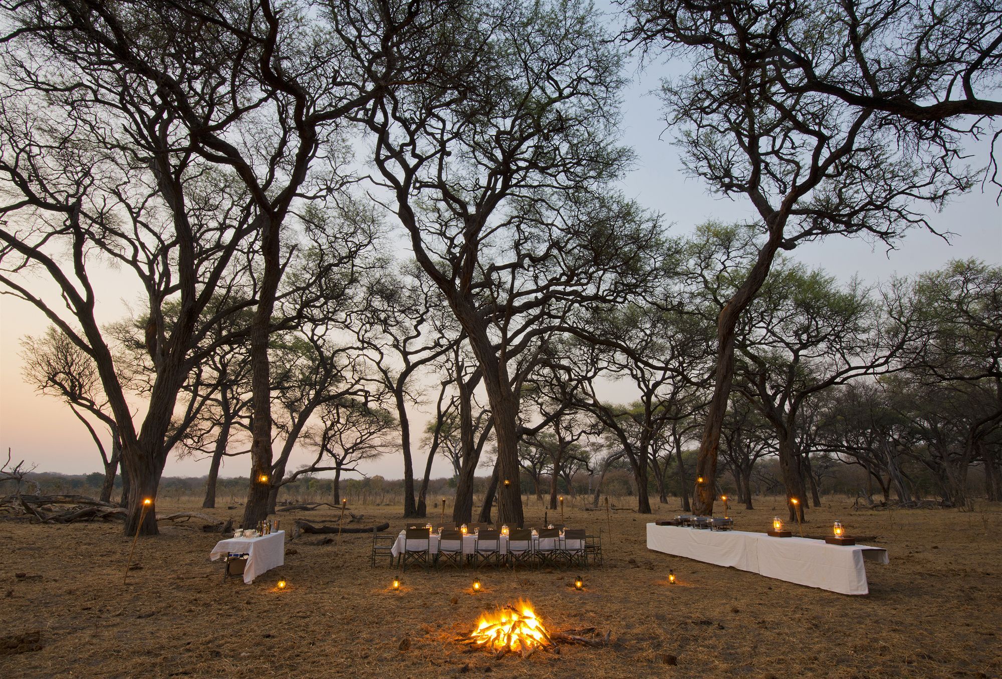 Dete Hwange Safari Lodge מראה חיצוני תמונה